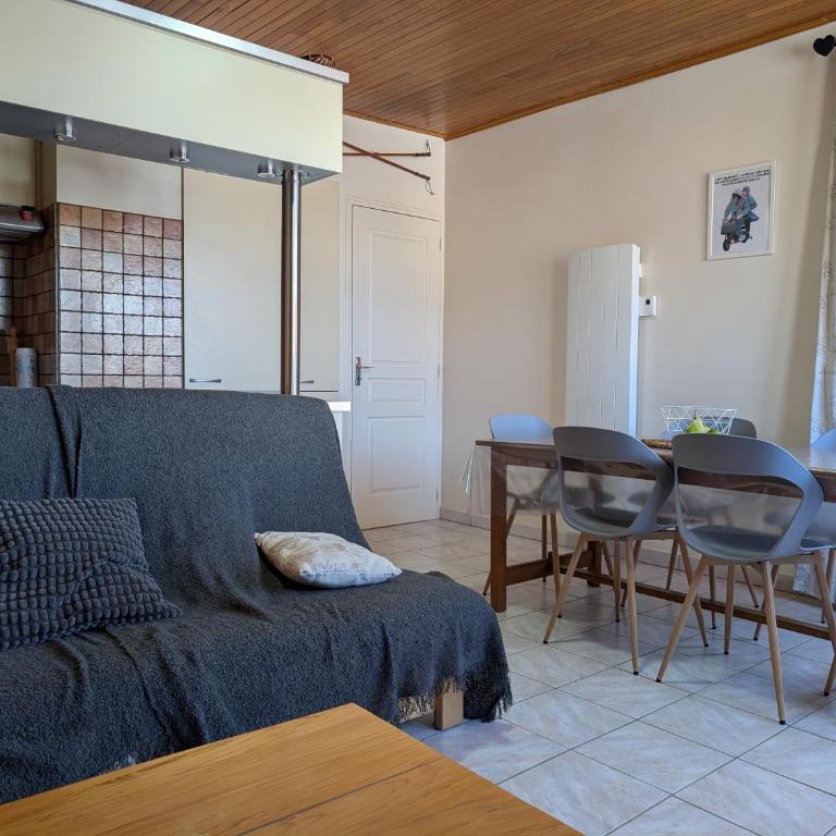 Le Palladium T2 1 chambre à 5mn des pistes avec garage - Appartement 1 Chambre - 10