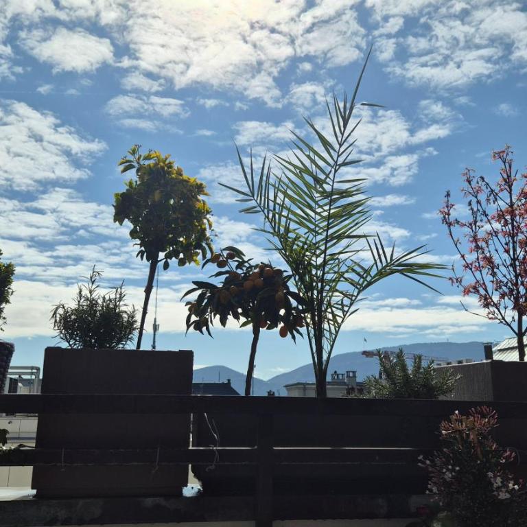 Sunny Terrace Oasis with Mont Blanc View in Central Geneva - Appartement 2 Chambres - 14