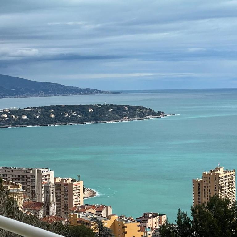 Stunning Monaco View Large Terrace 70 sqm - Appartement 3 Chambres - 28