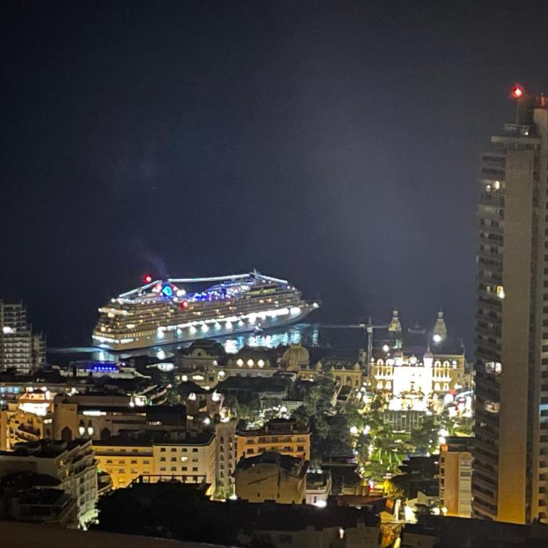 Stunning Monaco View Large Terrace 70 sqm - Appartement 3 Chambres - 43