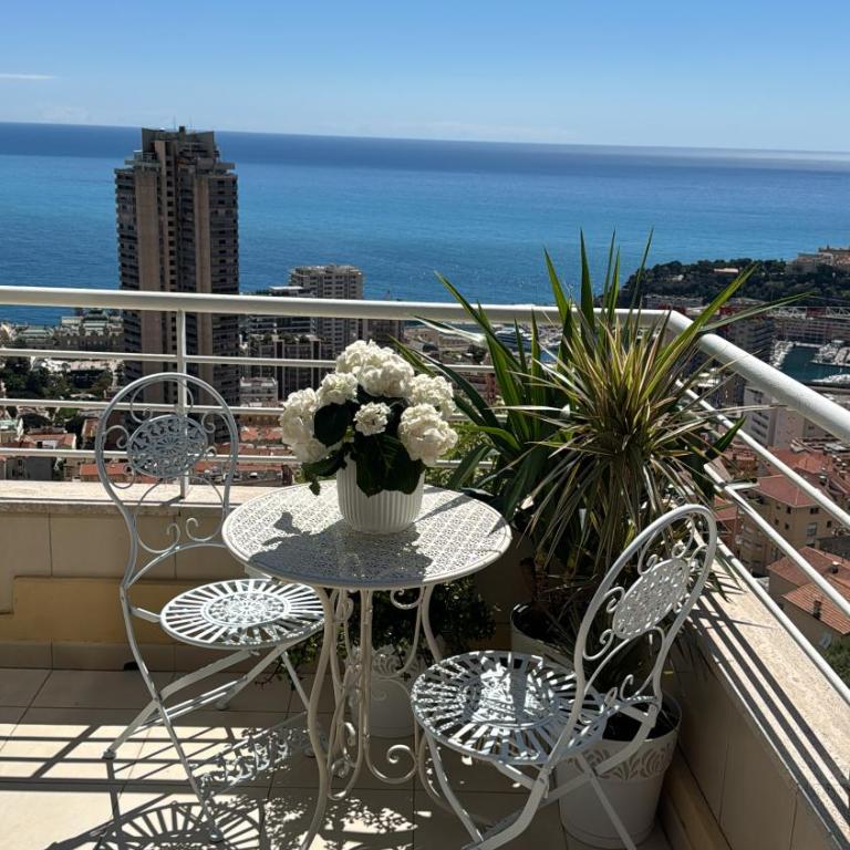 Stunning Monaco View Large Terrace 70 sqm - Appartement 3 Chambres - 38