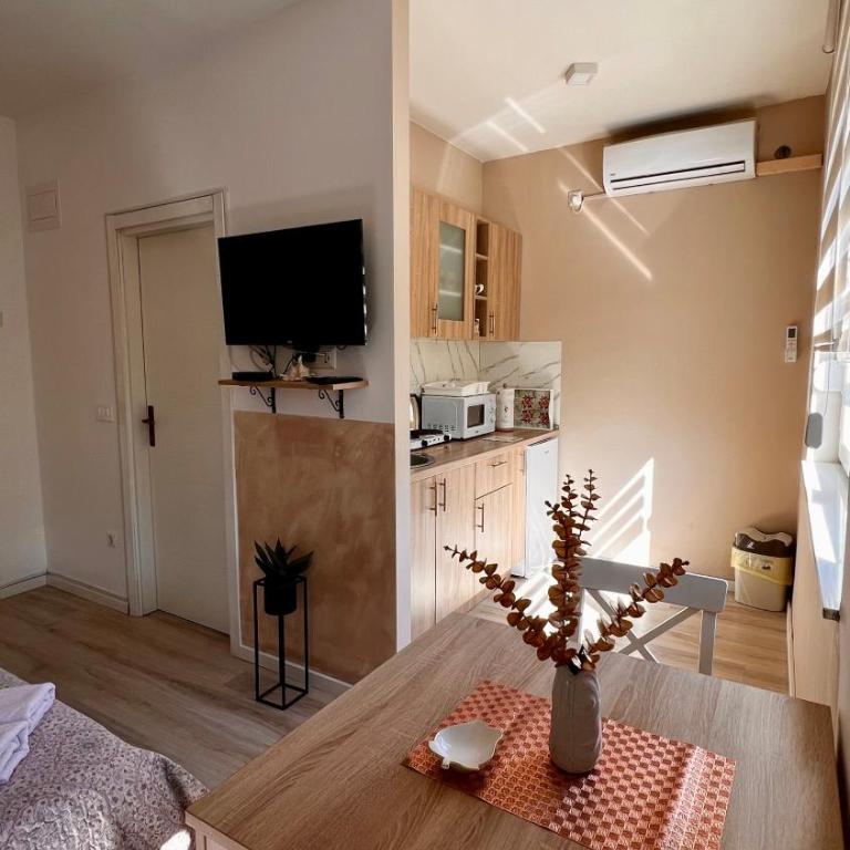 ESRA apartmani - King Studio with Sofa Bed - 2