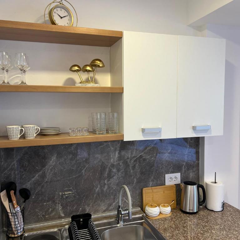 Studio Ander Trebinje - Apartman sa 1 Spavaćom Sobom - 5
