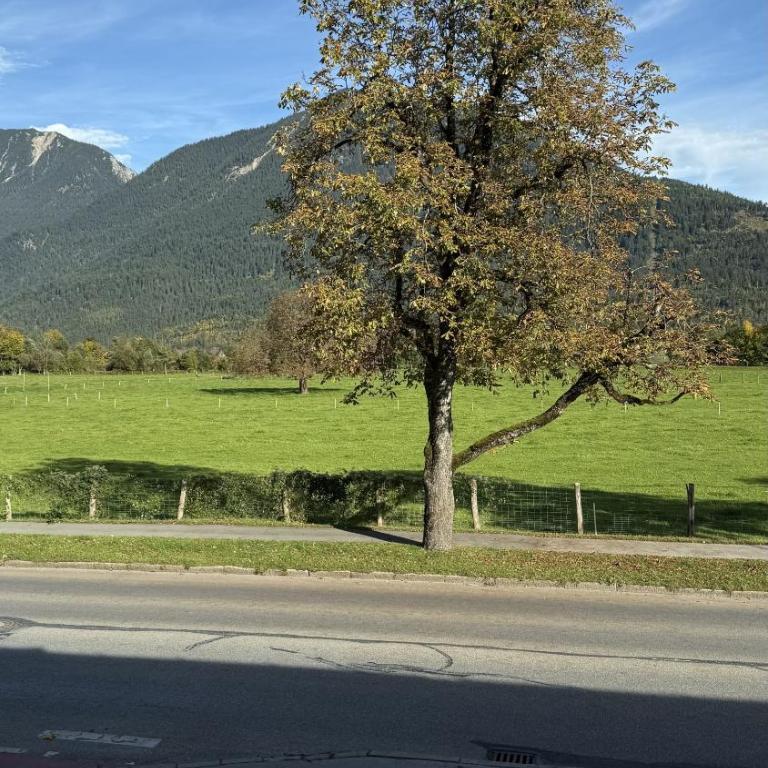 Gasthof Königstand - Appartement avec Vue sur la Montagne - 9