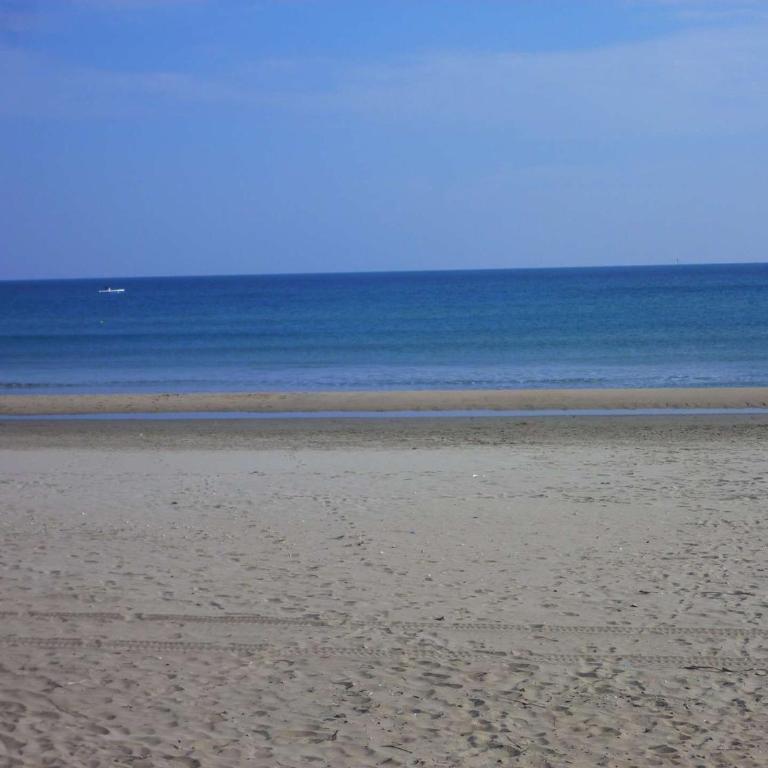 Charmante maison proche plage avec parking privé et terrasse - FR-1-387-84 - Appartamento - 15
