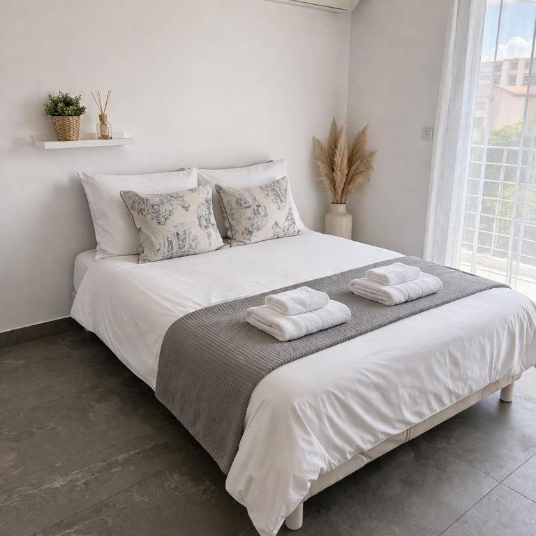 Magnifique Villa moderne à 10 minutes des plages - Villa con piscina privada - 10