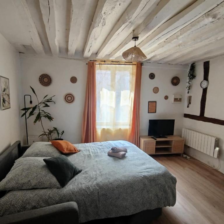 Le Petit Cocon d'Orléans - Appartamento con 1 Camera da Letto - 8