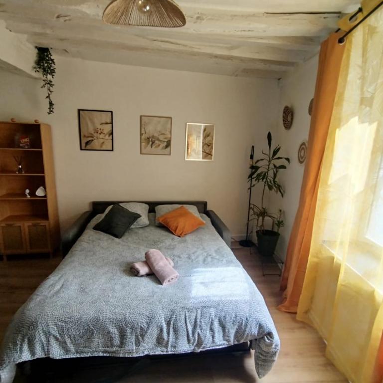 Le Petit Cocon d'Orléans - Appartamento con 1 Camera da Letto - 5