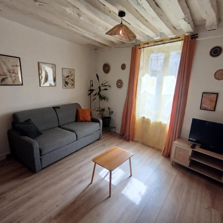 Le Petit Cocon d'Orléans - Appartamento con 1 Camera da Letto - 4