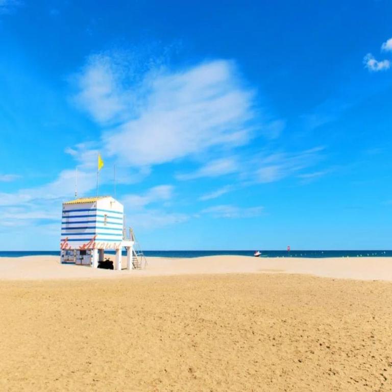 Merveilleuse Port - Piscine - Plage - Climatisation - Commerces - One-Bedroom Apartment - 19