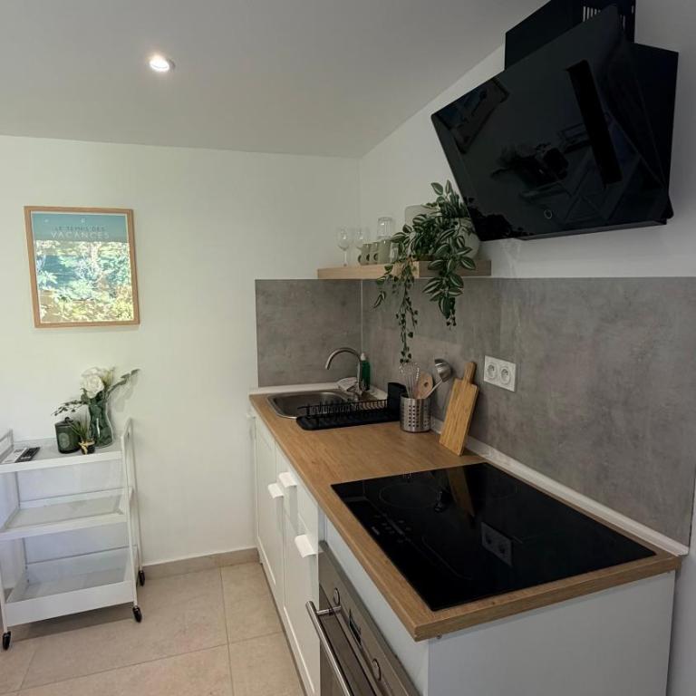 Mazets sous le pin - Maison 1 Chambre - 12