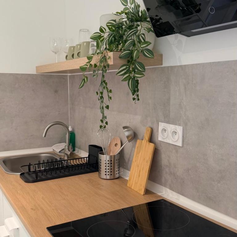 Mazets sous le pin - Maison 1 Chambre - 13