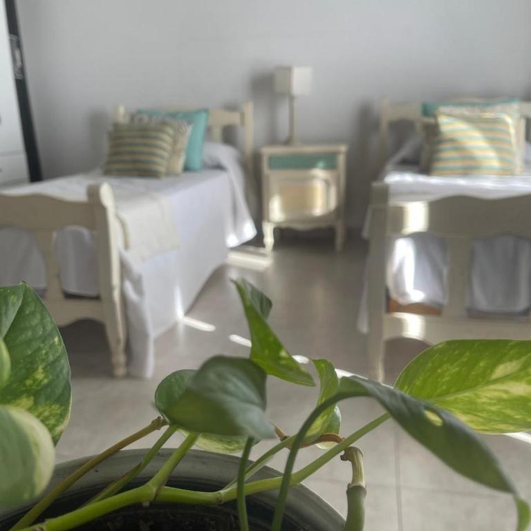 De Paso - Apartamento de 1 dormitorio - 2