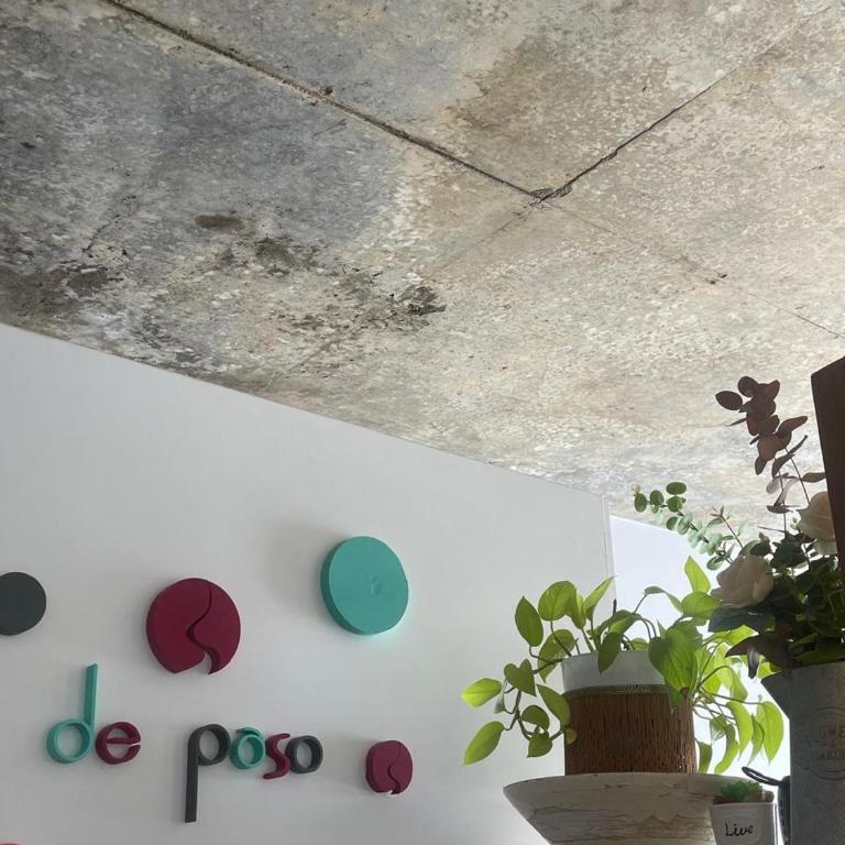 De Paso - Apartamento de 1 dormitorio - 4