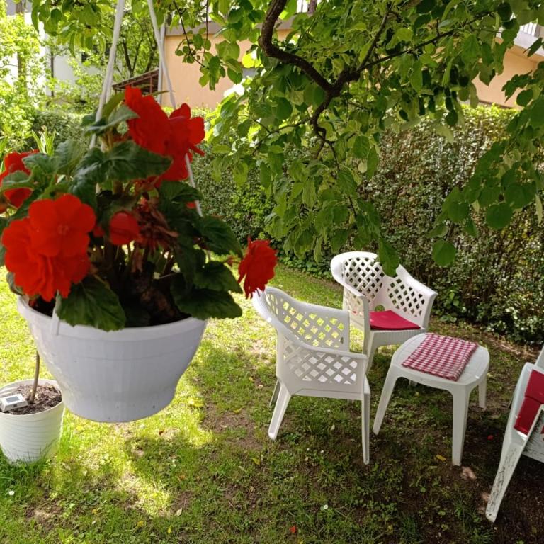 Apartman Jasmina - Two-Bedroom Apartment - 25