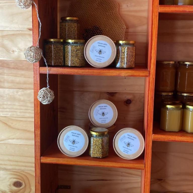 Villarrica Céntrico - Apartamento de 3 dormitorios - 32