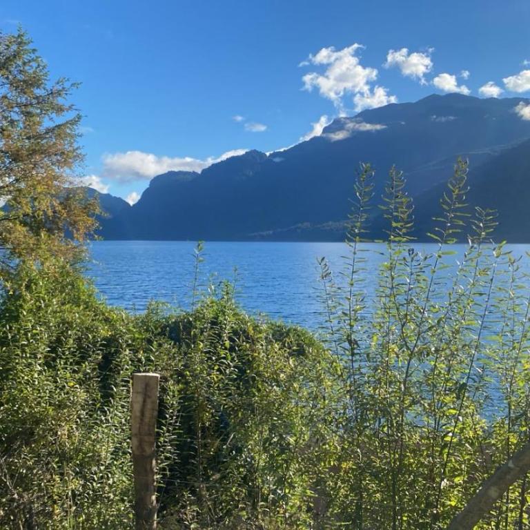 Villarrica Céntrico - Apartamento de 3 dormitorios - 22