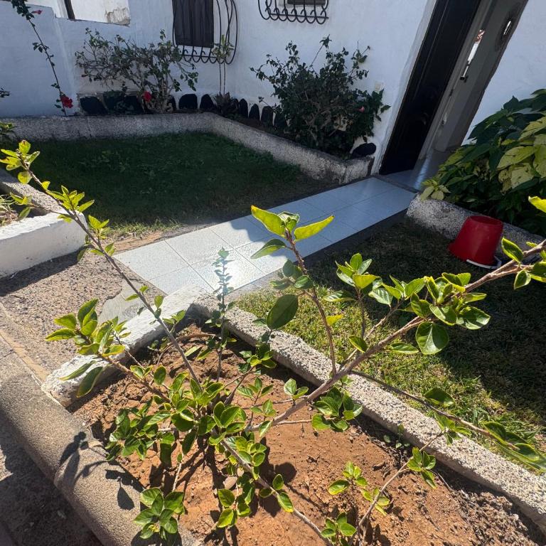 Santafe holiday garden 40 - Apartamento de 1 dormitorio - 10