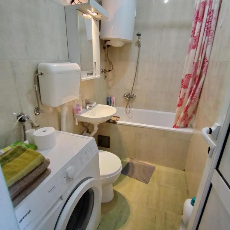 Georgije's apartment - Apartman sa 1 Spavaćom Sobom - 14