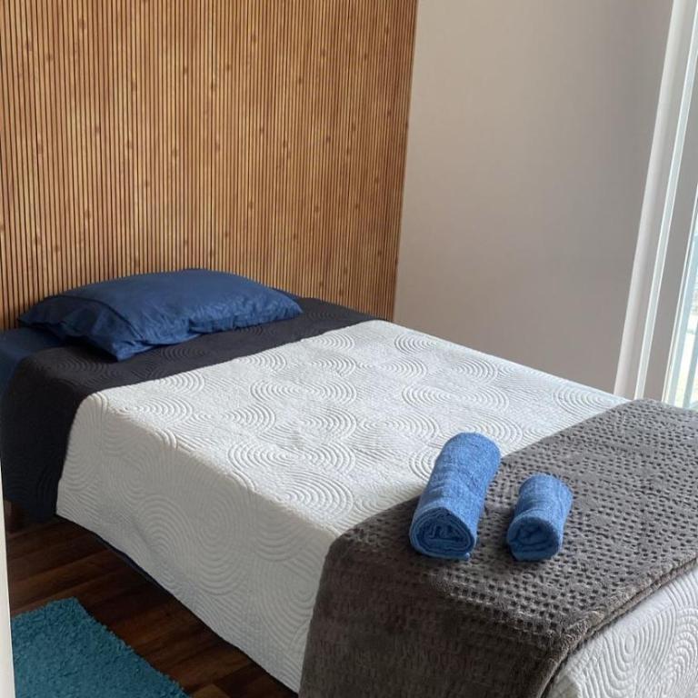 Villarrica Céntrico - Apartamento de 3 dormitorios - 40