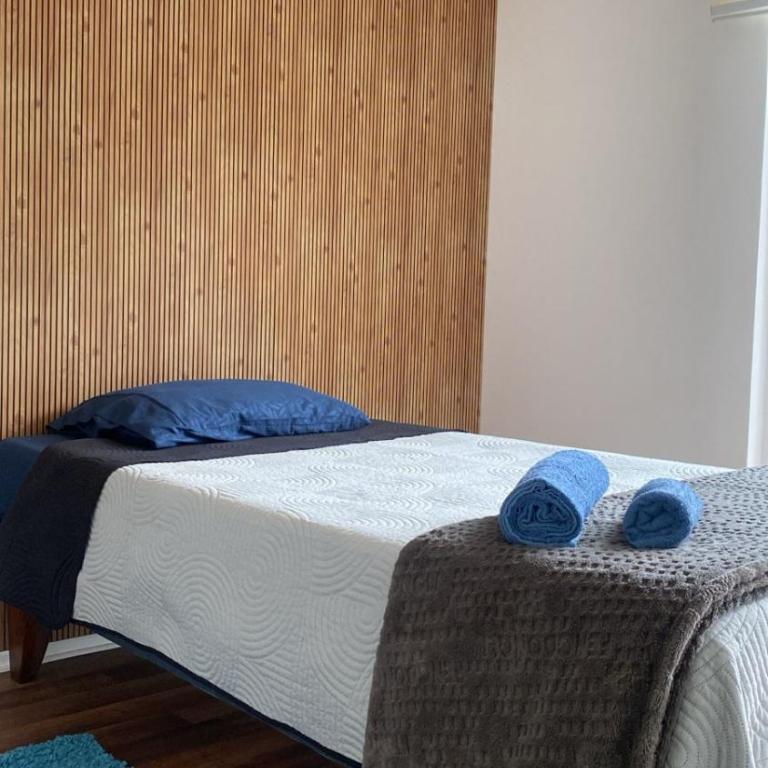 Villarrica Céntrico - Apartamento de 3 dormitorios - 47