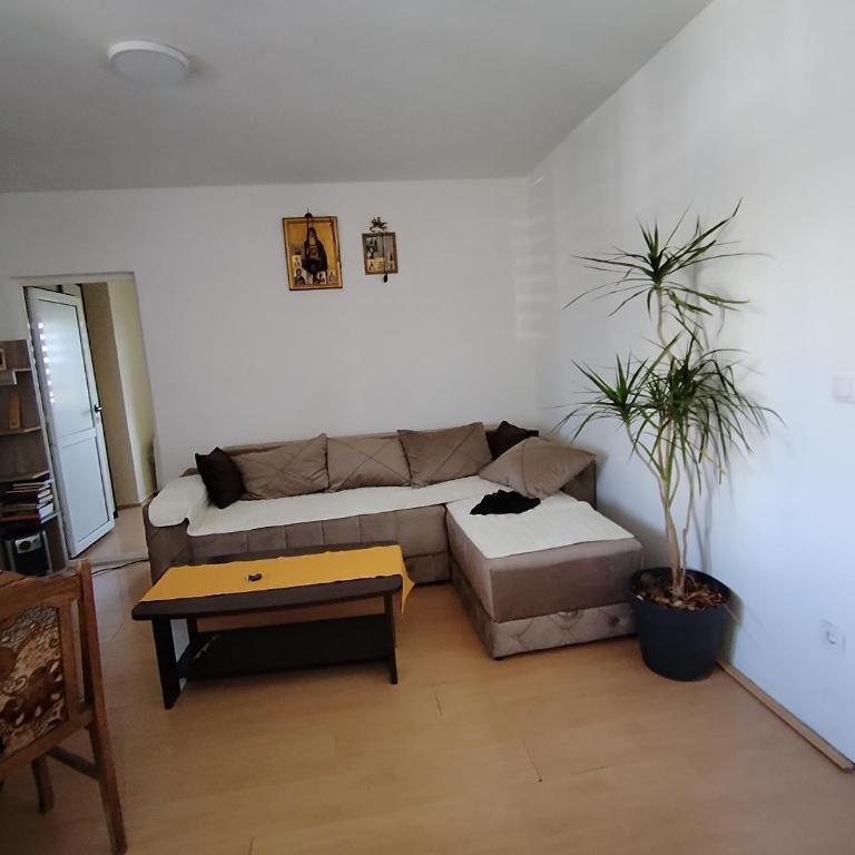 Georgije's apartment - Apartman sa 1 Spavaćom Sobom - 12