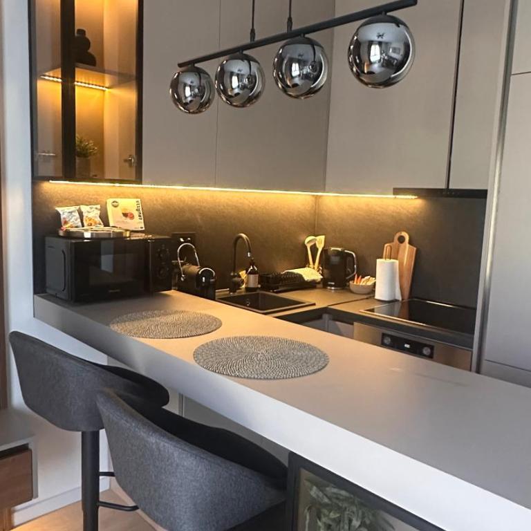 Posh Studio - One-Bedroom Apartment - 3