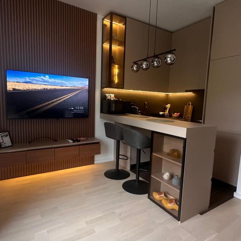 Posh Studio - One-Bedroom Apartment - 1