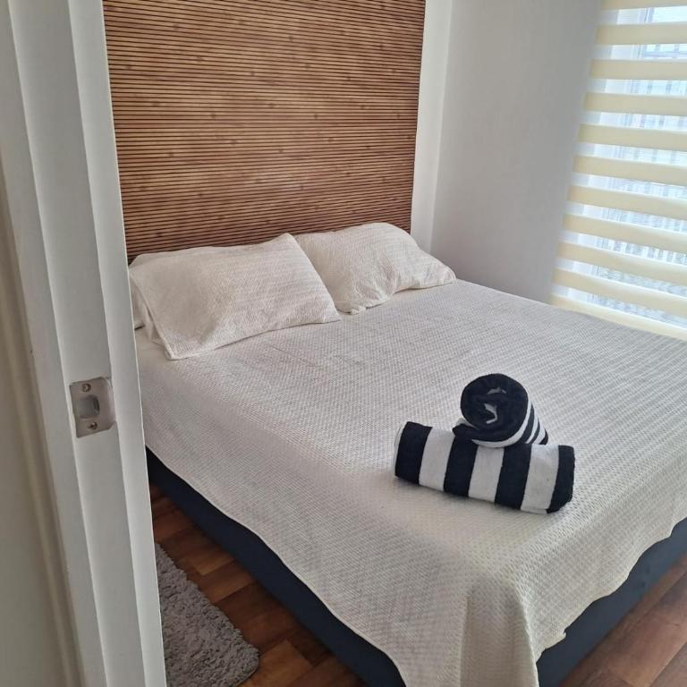 Villarrica Céntrico - Apartamento Estándar de 3 dormitorios - 44