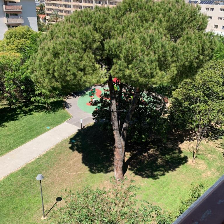 Studio soleil - Appartement 1 Chambre - 5
