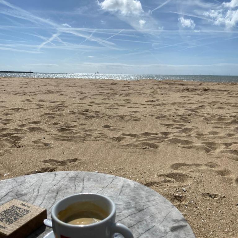 Petit duplex 3 ou 4 personnes, Bonne Source Pointe du Bé, Pornichet - Appartamento con 2 Camere da Letto - 17
