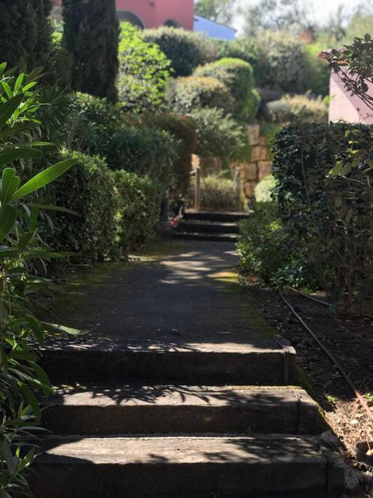 Villa de la Pinède - Villa de 3 dormitorios - 78