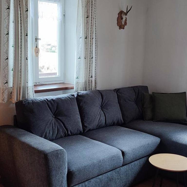 Vorderwahllehen - Apartamento con balcón - 6