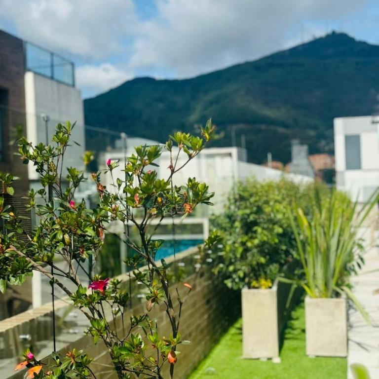 Aparta estudio parque 93, Coworking 509 - Apartamento de 1 dormitorio - 15