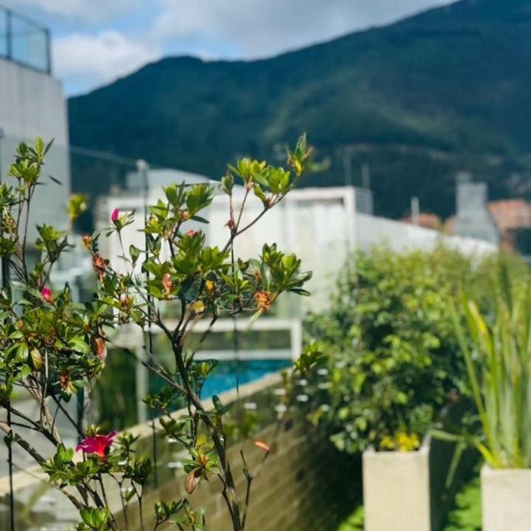 Aparta estudio parque 93, Coworking 509 - Apartamento de 1 dormitorio - 18