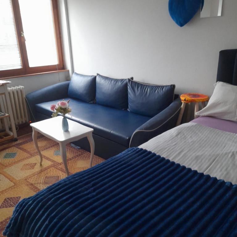 Skenderija Central Embassy Apartments - Studio Apartment with King Bed - 20