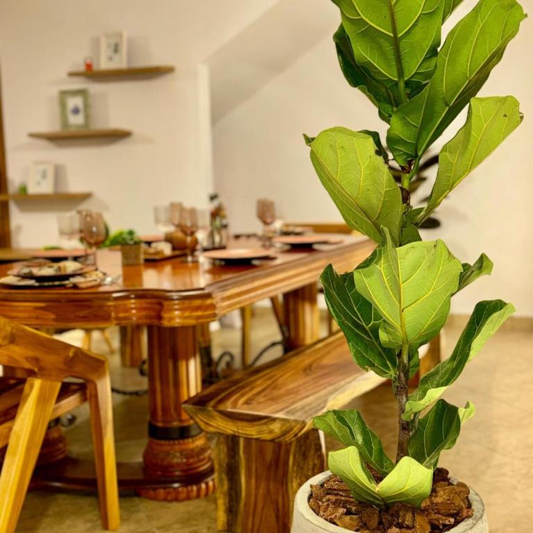 Tree House Luxury - Apartamento con 4 dormitorios - 2