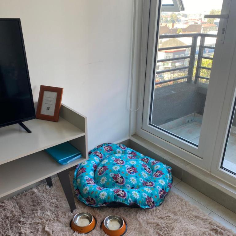 Departamento Central Valdivia - One-Bedroom Apartment - 3