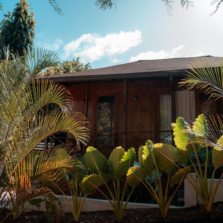 Star Apple Inn - Chalet de 1 dormitorio - 1