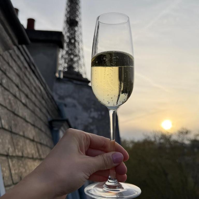 Eiffel Tower fully renovated 2026 apt with AC - Appartement 1 Chambre - 2