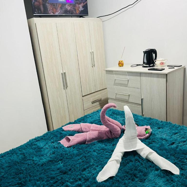 alojamiento el balcón azul Fiambalá departamento 2 - Apartamento de 2 dormitorios - 13
