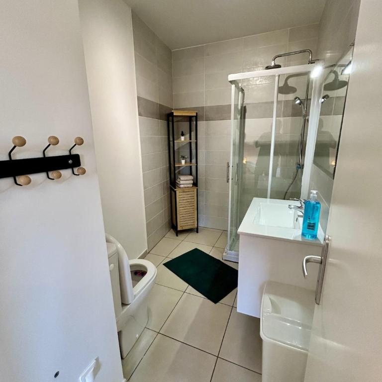 Appartement calme proche Nice à 20 min des plages - Appartement 1 Chambre - 10