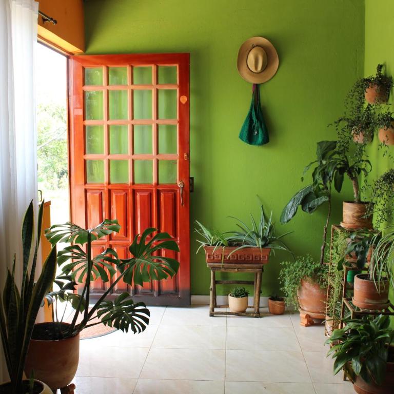 Casa Campestre Buenavista, espacio natural - Casa de 3 dormitorios - 34