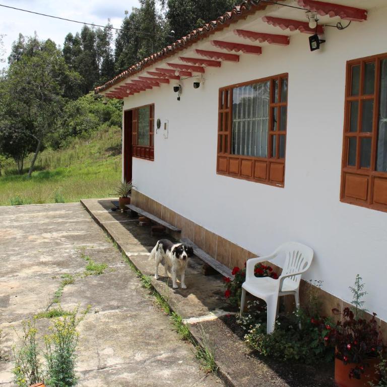 Casa Campestre Buenavista, espacio natural - Casa de 3 dormitorios - 41