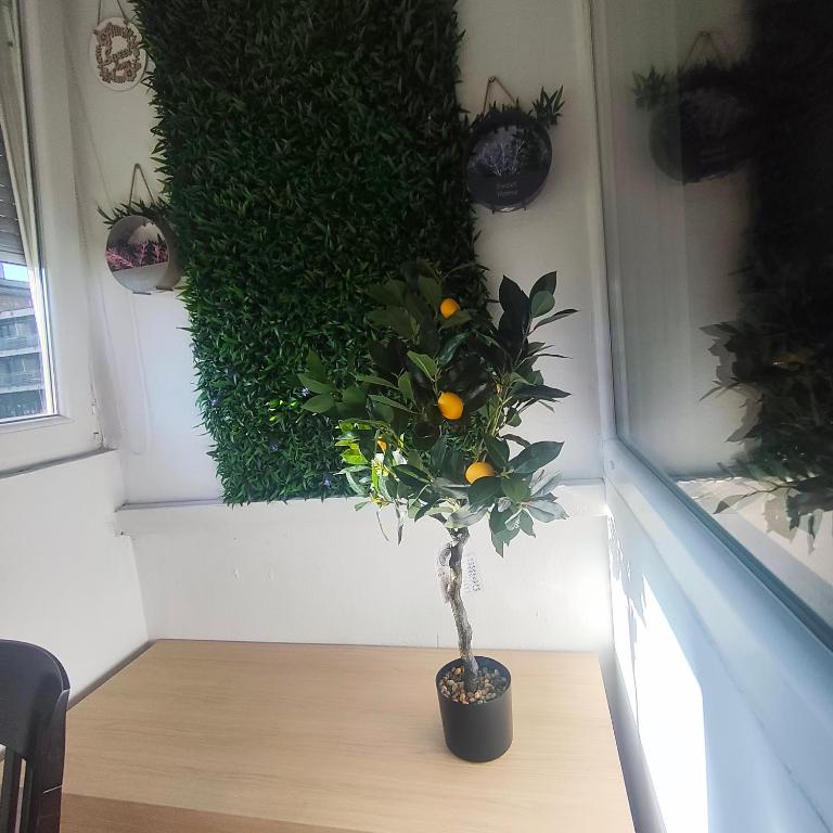 Apartman Sweet Home Free parking - Apartman sa 1 Spavaćom Sobom - 10