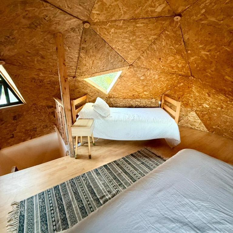 Domo Siempre verde - Apartamento de 1 dormitorio - 2