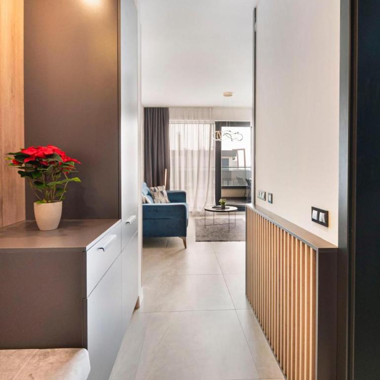 Prestige Bulevar Apartman - Apartman sa 1 Spavaćom Sobom - 12