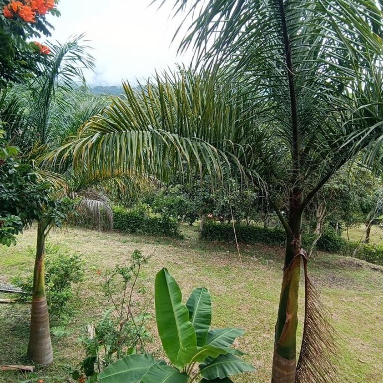 Mirador de los Andes - Vista Infinita - Casa de 3 dormitorios - 19