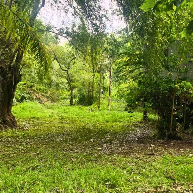 El Refugio del Pajarito - Casa de 2 dormitorios - 6