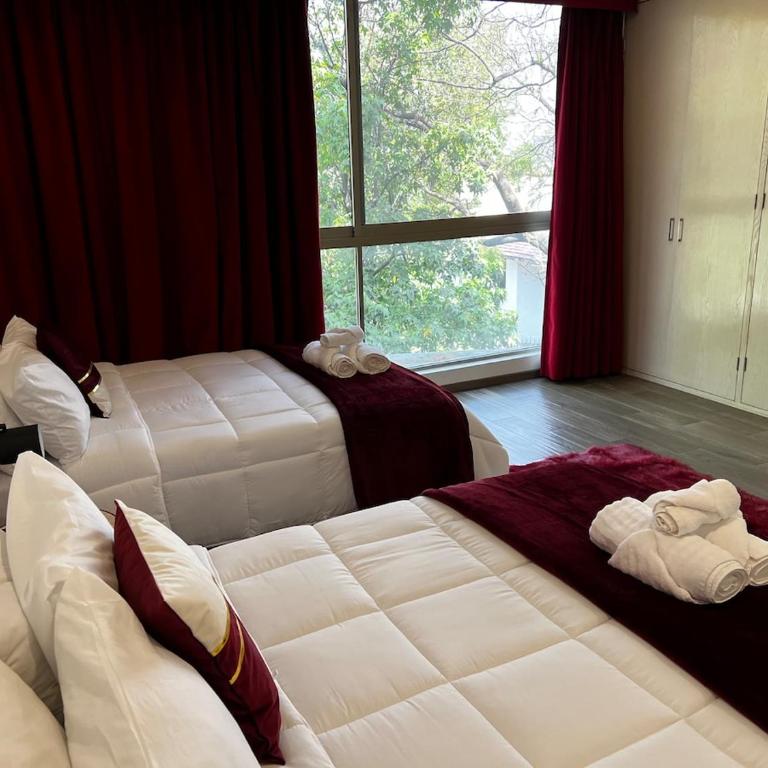 Casa Loreto Your Home Away from Home! - Casa de 2 dormitorios - 52